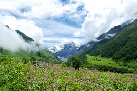 valley-of-flowers-uttarakhand