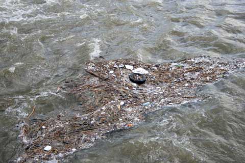 river-pollution