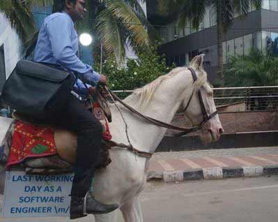 bengaluru-software-engineer-horse