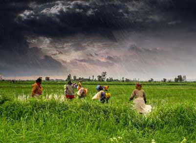 Agriculture_and_rural_farms_of_India
