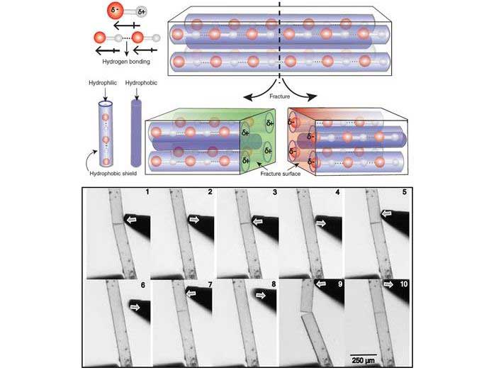 mechanical-damage-self-repairing-materials