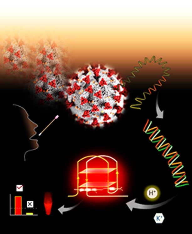 fluoroscent-technology-detecct-corona