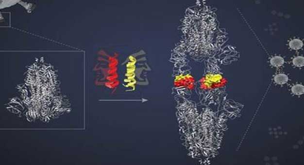 inactivating-sars-cov-2