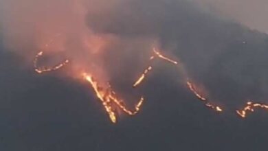 varunavat-uttarkashi-forest-fire