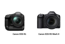 Canon-EOS-R1