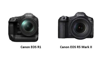 Canon-EOS-R1