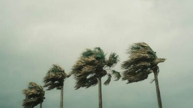 high-speed-wind-storm