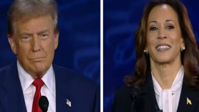 trump-harris