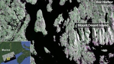 nasa-isro-nisar-satellite-image