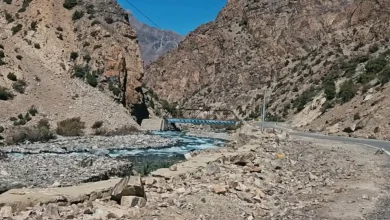 nelong-valley