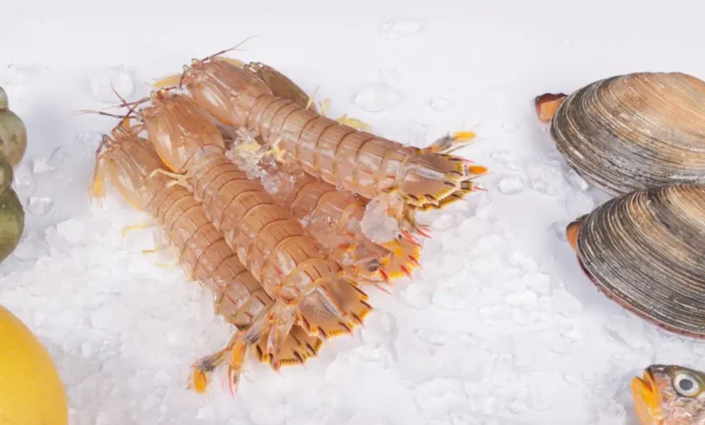 sea-food