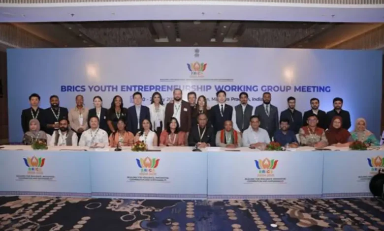 BRICS Youth Entrepreneurship Working Group Meeting