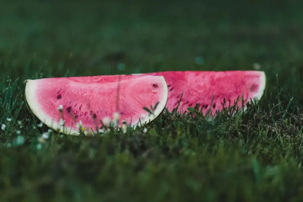 watermelon