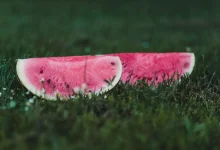 watermelon