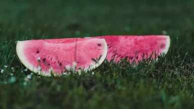 watermelon