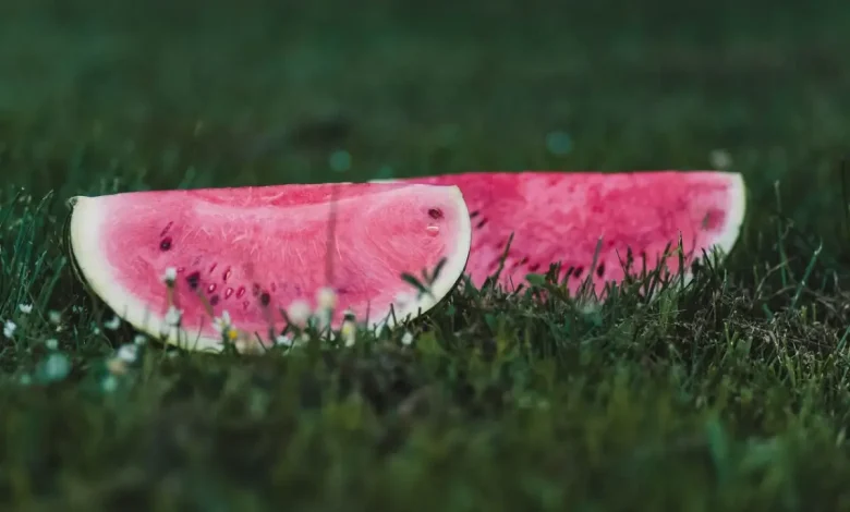 watermelon